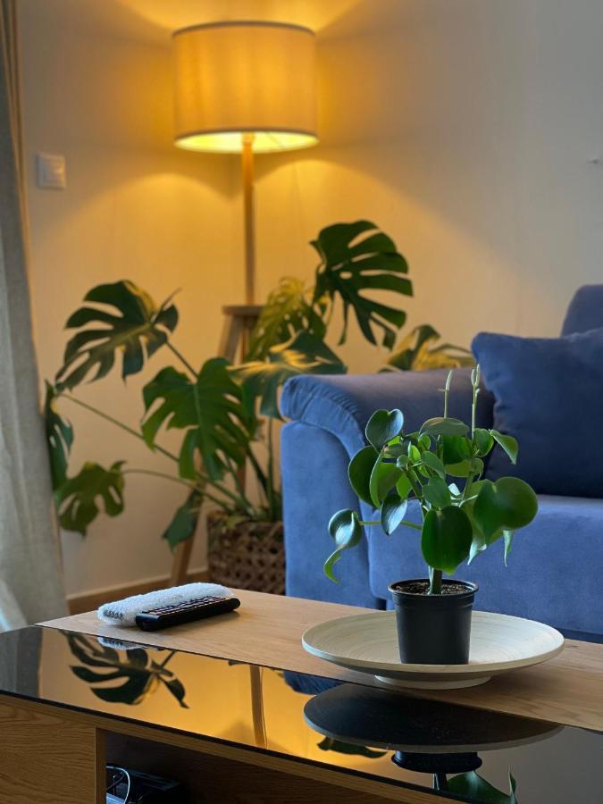 ניקיאנה Cosy Apartment With Sea View Close To The Beach מראה חיצוני תמונה